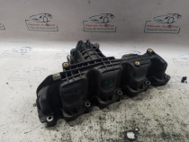 Galerie Admisie Plastic Skoda RAPID 1.6 2014