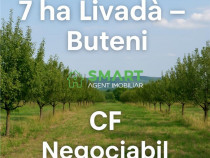 Teren 7 ha. livada Buteni, Jud. Arad CF, acces drum.