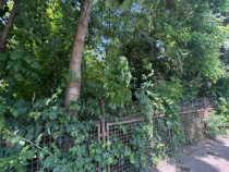 Teren constructii, 4200mp, Radauti