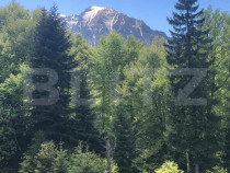 De vanzare, teren intravilan 10650mp, Predeal