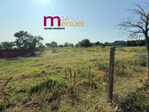 Teren 2900 mp , Dunavatul de sus