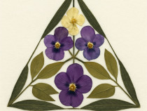 Flori presate inramate cu tema A4 (21x29.7)