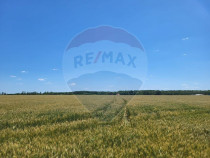 Teren intravilan 36500 mp Ciolpani, f.s 105 ml. Comision 0%