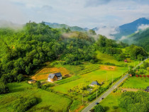 Cabana de vis la poalele Muntilor Țibleș schimb cu apar...
