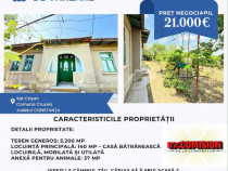 CASĂ DE VANZARE CRISAN