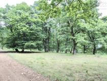 Teren 4713 mp investitie Imobiliara | Poiana Brasov