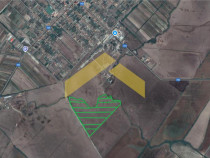 19.5 HA teren intravilan de localitatea Cermei