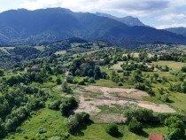 Comision 0% | Teren intravilan 3000 mp| Sohodol | Priveli...