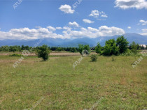 Teren intravilan 5000 mp pe Valea Avrigului, Sibiu