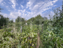 Casa batranesca, 97,57 mp utili, 1100 mp teren, Podari