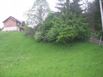 Teren intravilan Valea Doftanei