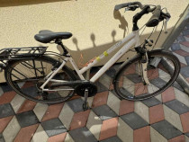 Bicicleta Pegasus Socero Alu