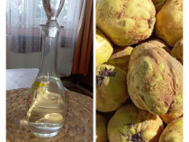 Palinca de GUTUI de soi