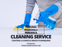 Curățenie la Domiciliu în Brașov și Imprejurimi