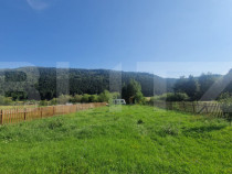 Teren Plaiul Foii, vedere spre muntii Bucegi si apa Barsa 10