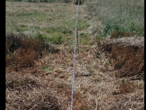 Teren 5 Ari Zona Moara