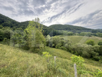 Teren extravilan 23.376 mp, în apropiere de Brad