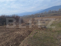 Teren in Salistea, 15800 mp