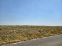 Teren extravilan Smardioasa, cota 1/6, ID: R2688427