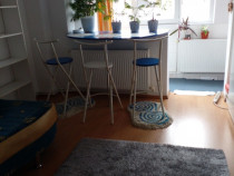 Apartament 1 camera Radu Negru