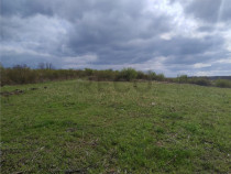 RECO Teren intravilan, Paleu