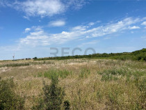 RECO Teren intravilan 3,9 ha -Les