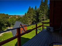 FILM!Ansamblu Case mobilate, echipate, 5.700mp teren, rezide