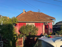 Investitie pentru liniste si oaza de verdeata