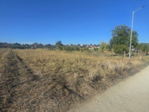 Teren 1000mp ,la intrarea in Filiasi