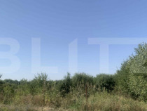 Teren intravilan 7200 mp Ardud