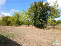 Teren intravilan, stradal in Petrachioaia IF, cu o SU de 123