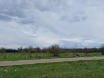 Teren Intravilan 533 mp Sanpetru