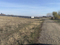 Teren intravilan 500mp, Pielesti