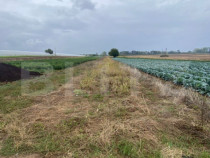 Teren de vanzare, 4700 mp, Strada Brazilor