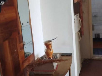 Apartament 2 Marasti-str Aurel Vlaicu