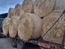 Baloti din paie de grâu