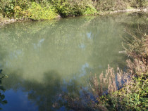 Teren imprejmuit cu iaz indiguit, 7200mp, Fratautii Vechi, R