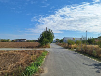 Snagov- Ciofliceni, loturi de casă între 504-670mp, Șerba