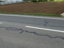 Parcele teren intravilan, 580 mp, Pielești