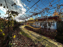 Casa batraneasca din caramida de vanzare si 4500 mp teren...