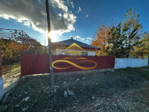 Casa batraneasca din caramida de vanzare si 4500 mp teren...