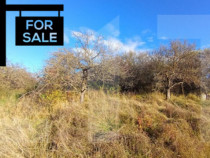 Oportunitate de investitie in zona Wonderland