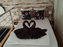 Apartament cu 2 camere la casa Ultracentral