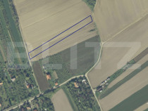 Teren intravilan 41 arii Zona Viile Satu Mare