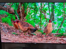 Smart tv Samsung 4k SUHD
