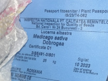 Samanta Lucerna Certificata Sandra, Madalina, Dobrogea, Mihaela