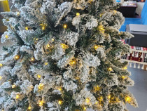 Brad artificial nins