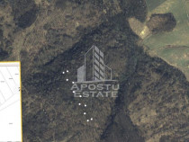 Teren Cuied &ndash; Livada 5400 mp