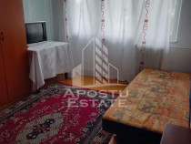 Apartament cu 1 cameră , spațios , Iosefin