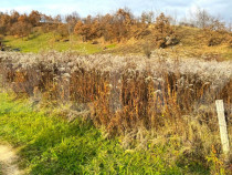 Teren extravilan de vanzare, 2400 mp, zona Valea Ghinzii